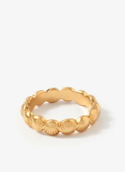 Gold Tone Shell Ring Set