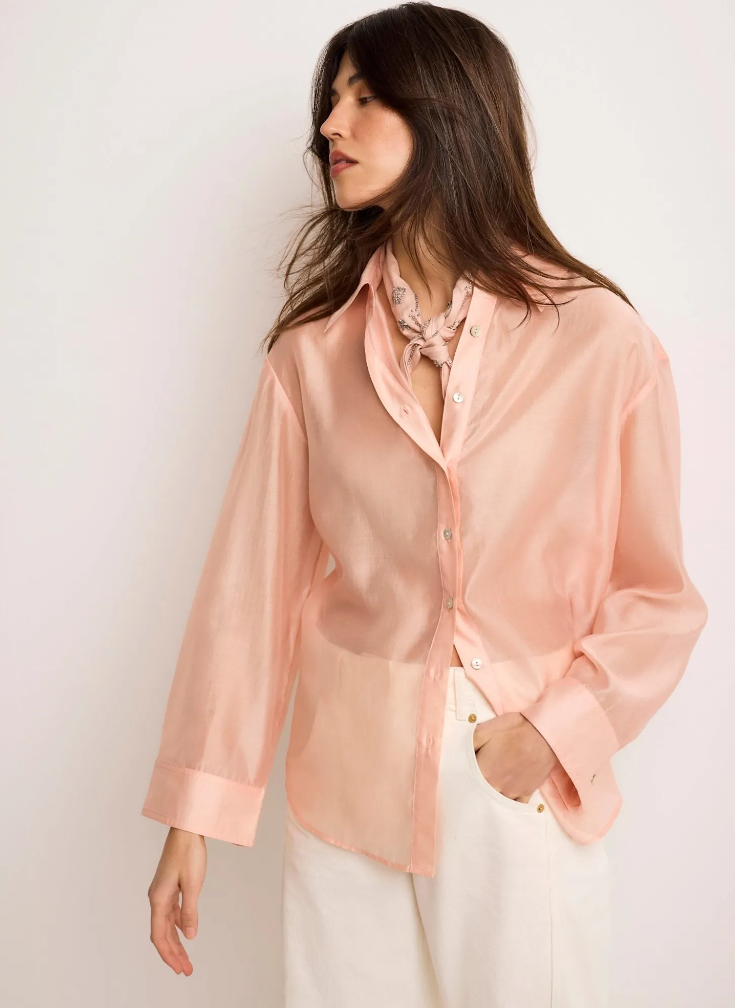Light Pink Sheer Shirt
