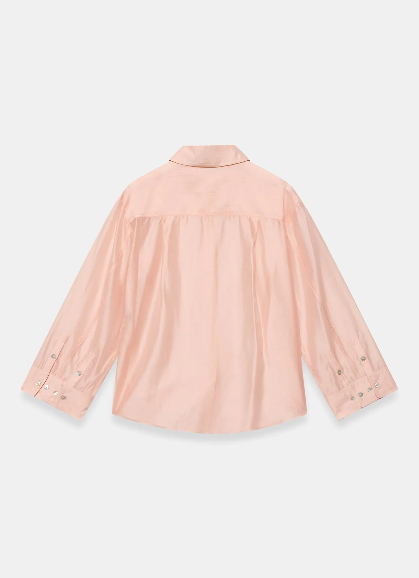 Light Pink Sheer Shirt