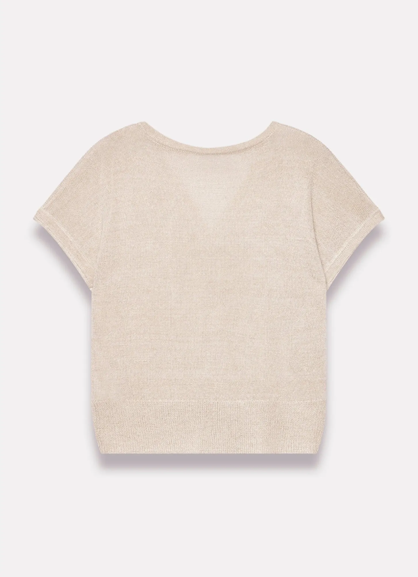 Neutral Metallic Knit Top