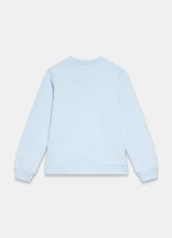 Pale Blue Embroidered Sweatshirt